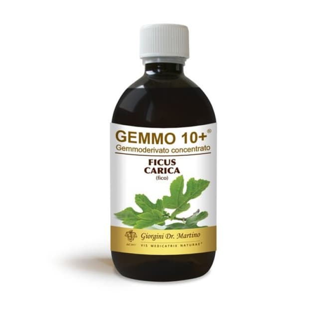 Fico Knospenextrakt – 500 ml alkoholfrei