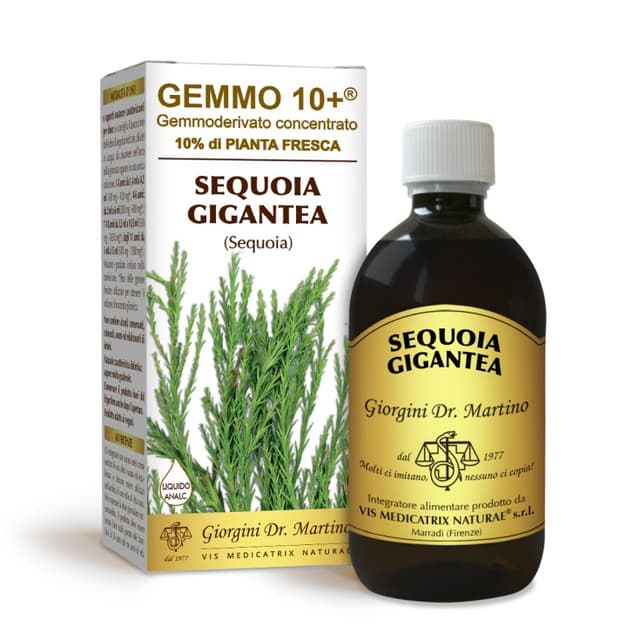 Sequoia Gemmo 10+ alkoholfrei – Gemmoextrakt 500 ml