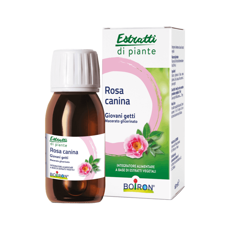 Rosa Canina Mutterglycerinat – 60 ml