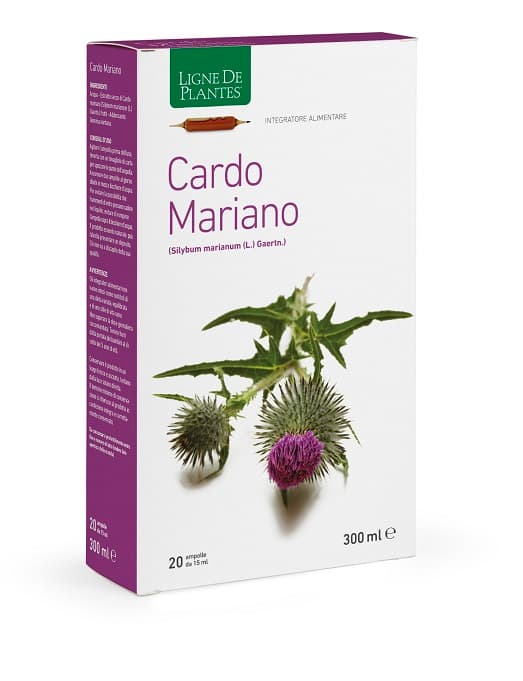 CARDO MARIANO 20AB 15ML<