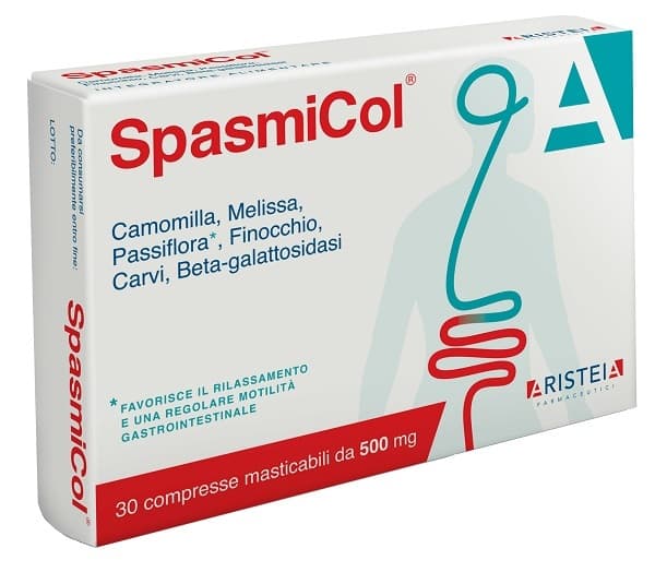 Spasmicol – 30 Tabletten Mastix 500 mg