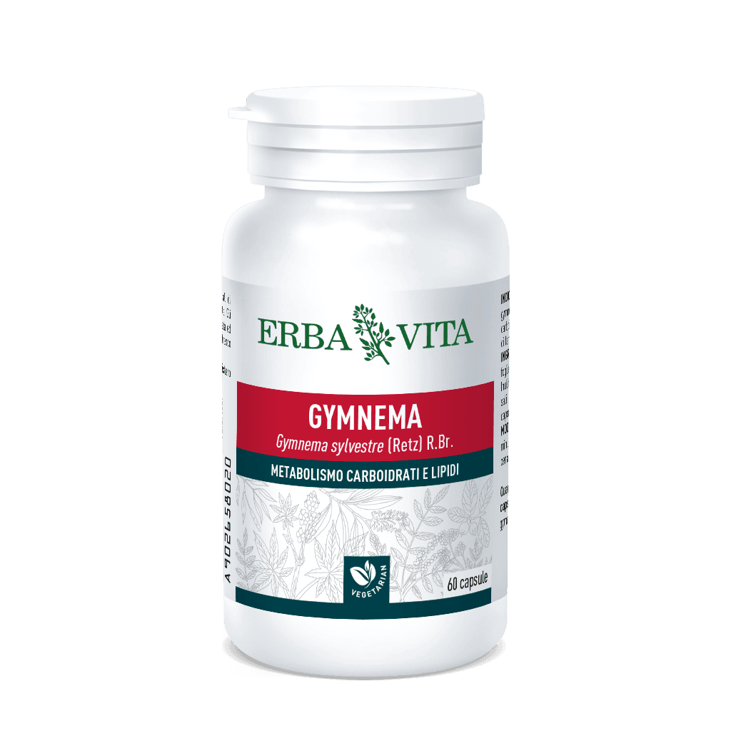 Gymnema Silvestris EBV – 60 Kapseln à 350 mg