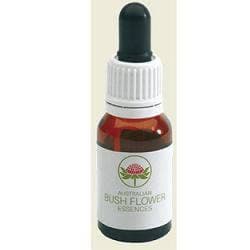 She Oak Australian – 15 ml Tropfen