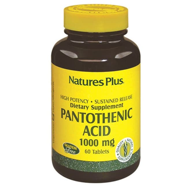 Pantothensäure (Vitamin B5) 1000 mg – STREGA Nahrungsergänzung
