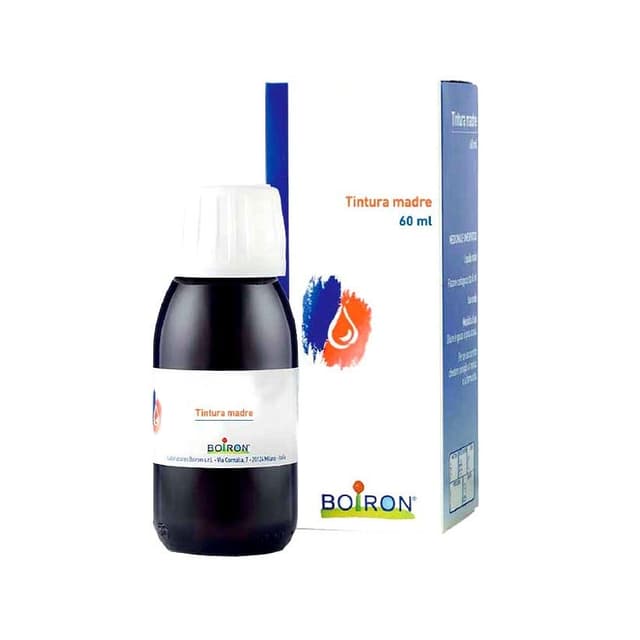 Tilia Tomentosa – 60 ml Tropfen