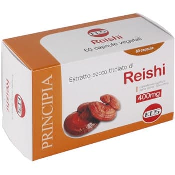 Reishi Extrakt Trocken KOS – 60 Kapseln à 400 mg