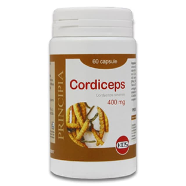 KOS Cordyceps Extrakt Trocken – 60 Kapseln