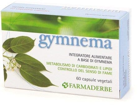 GYMNEMA 60CPS 34,2G FDR
