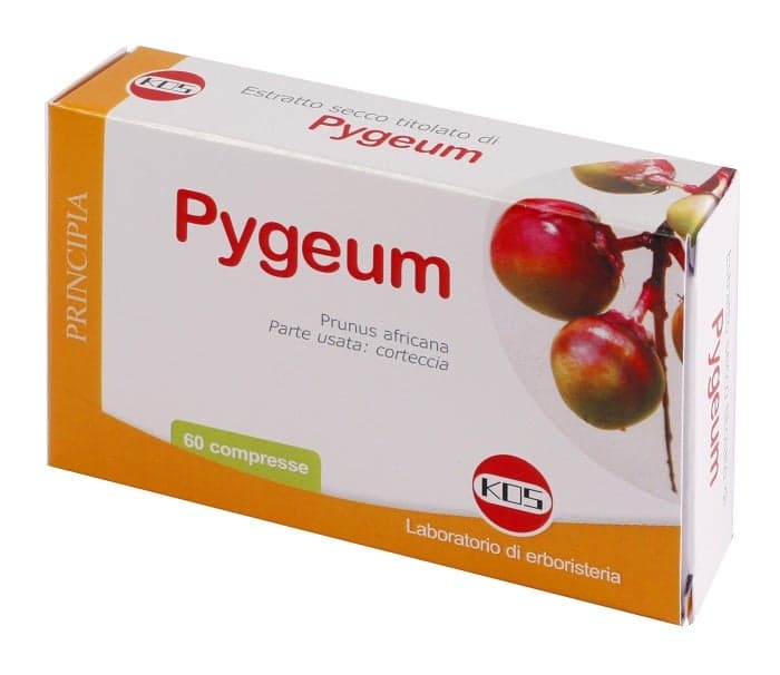 Pygeum Extrakt – 60 Tabletten