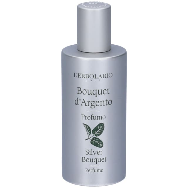 Bouquet d'Argent Raumduft – 50 ml